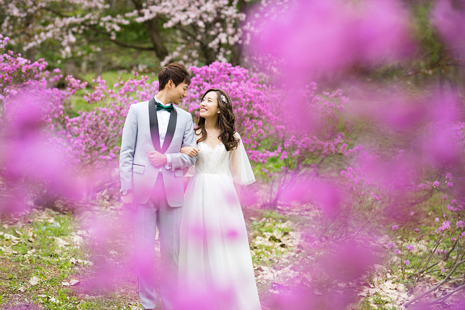 北海道 桜のロケーションフォト