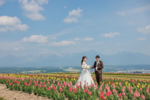 北海道のお花畑/ラベンダー前撮り,ロケーションフォトウエディングならリッケフォトスタイルへ