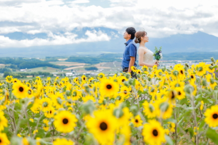 美瑛の丘で羊との前撮り/フォトウェディングならリッケフォトスタイルへ